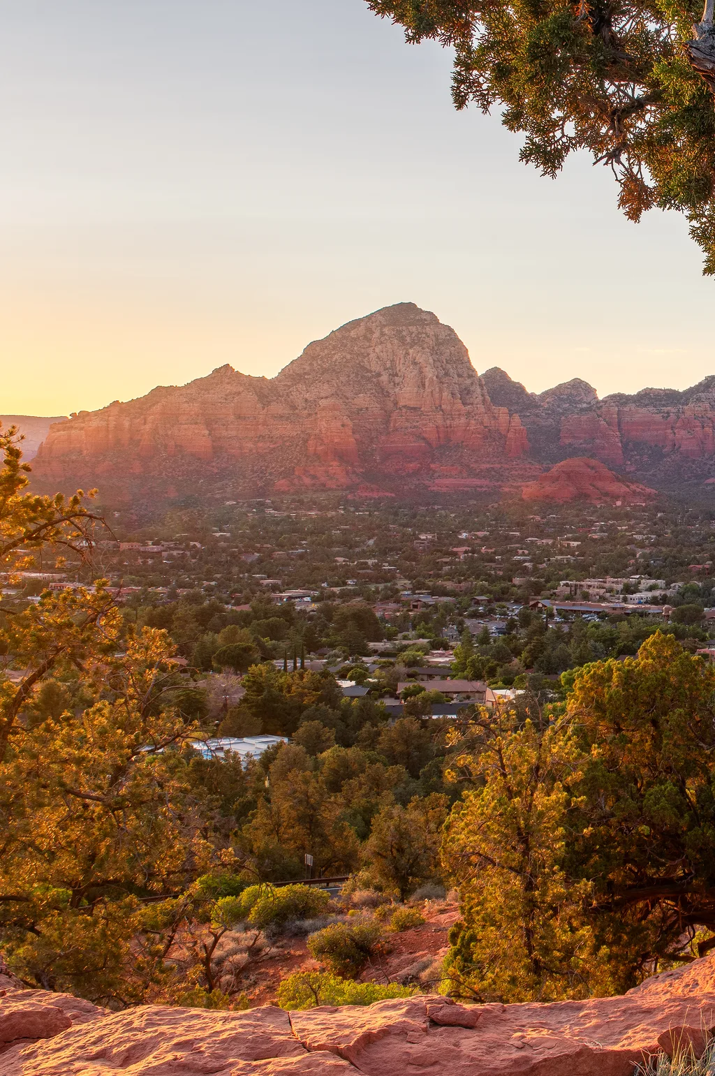 Sunset over Sedona's red rock skyline, the town spread across the valley below, framed by a juniper